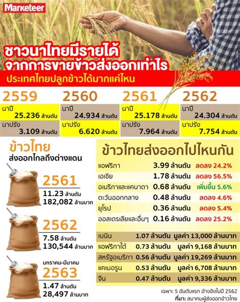 ban 10อยากทำอะไรก็ทำ|มุมมองการส่งออกข้าวไทยในปัจจุบัน จากปากของชาวนารุ่นใหม่.